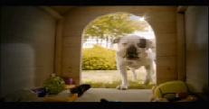 Ad of the Week: PetSmart’s “Toys For Everyone”