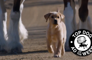 Budweiser Blows Up the Beer Category With Puppies and Microsoft Wows With High Scores