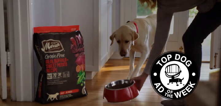 Petco and Olive Garden Bring Nourishment to Pets and People