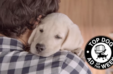 Budweiser and Nestle Ads Create Warm, Fuzzy Feelings