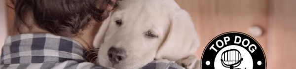 Budweiser and Nestle Ads Create Warm, Fuzzy Feelings