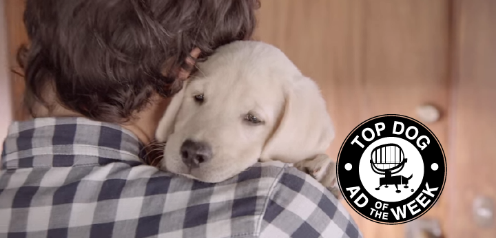 Budweiser and Nestle Ads Create Warm, Fuzzy Feelings