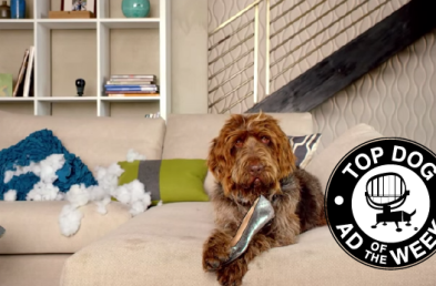 Nest and Subway take Ad of the Week Honors