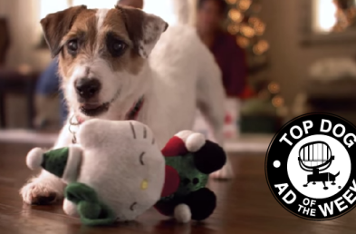 PetSmart and HP Ads Remind Us That It’s The Little Things