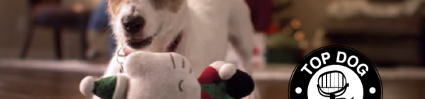 PetSmart and HP Ads Remind Us That It’s The Little Things