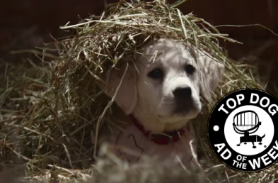 Budweiser’s and McDonald’s Super Bowl Ads Turn Up the Love