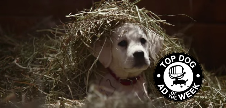 Budweiser’s and McDonald’s Super Bowl Ads Turn Up the Love