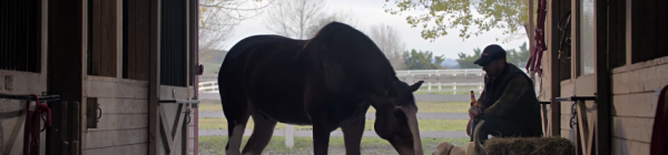 Top Ads of Q1 Feature Animals, Empowerment and Love