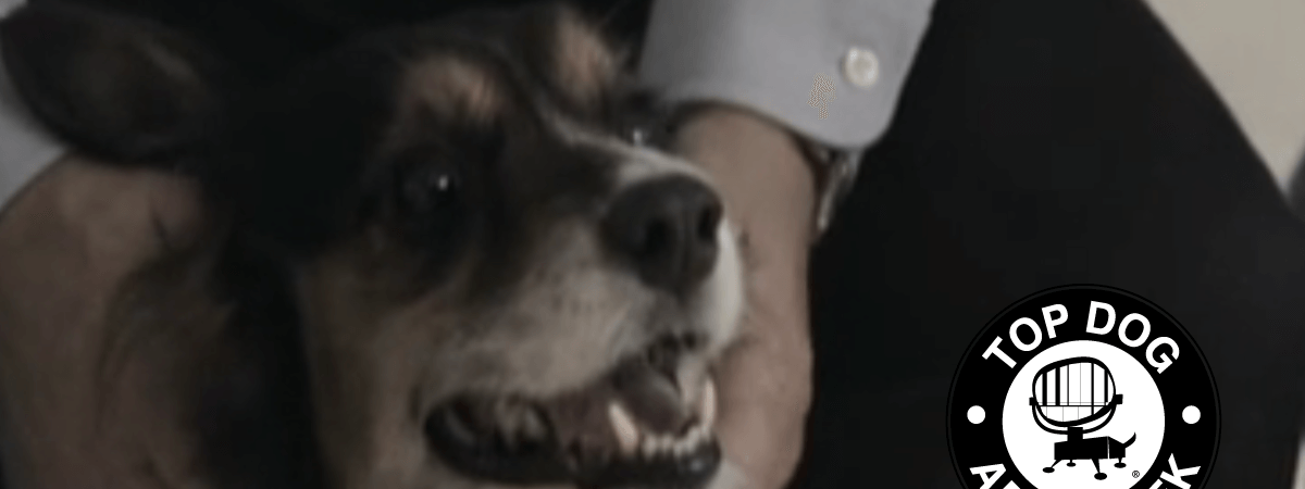 Purina Earns Top Dog of the Week
