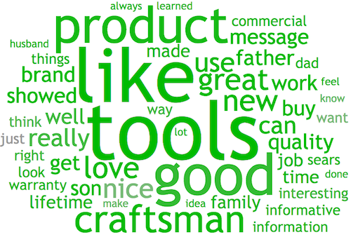 ace-metrix_sears-craftsman_viewer-word-cloud