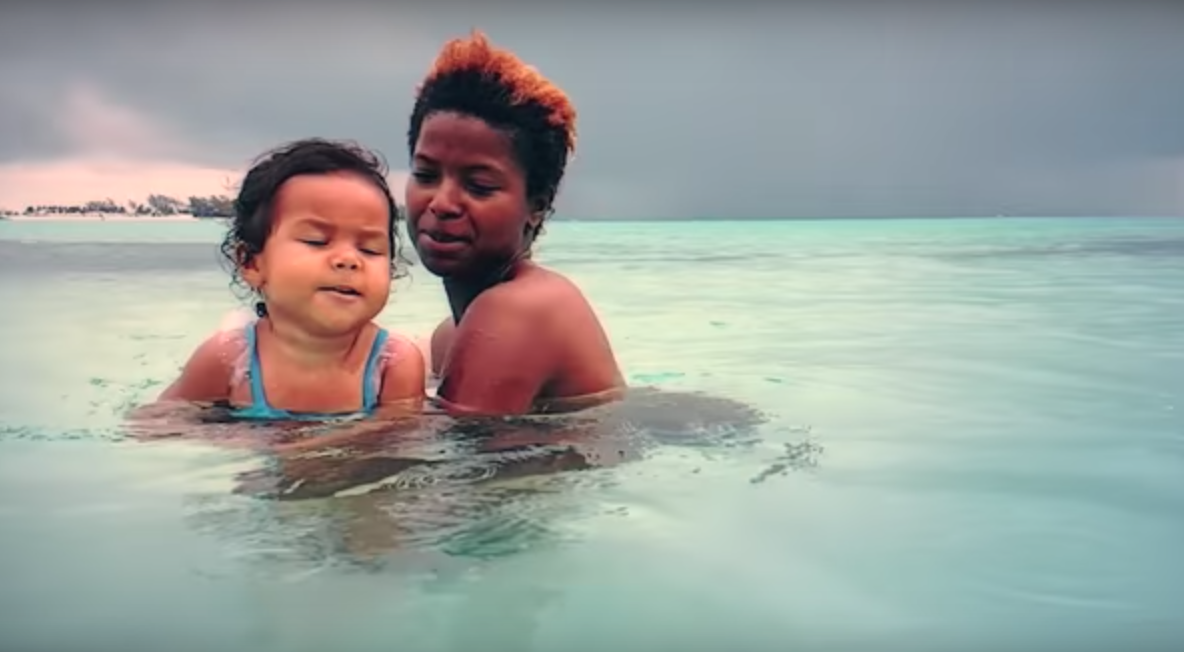 Seaworld killer whale image