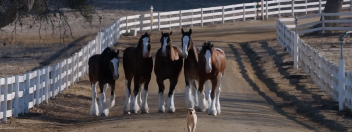 Going for Emotional Impact with Your Super Bowl Ad? Here’s What Worked for Past Advertisers