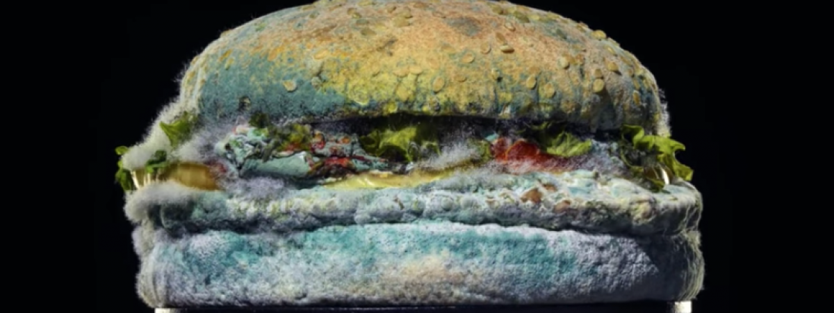 Burger King’s Moldy Whopper Succeeded Miserably. Here’s Why: