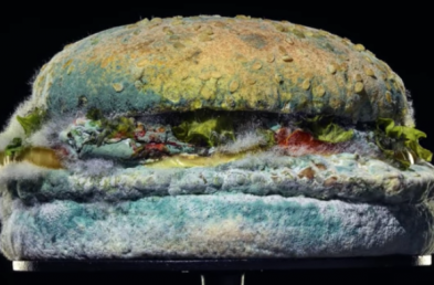 Marketing Dive — Burger King’s moldy Whopper ad sparks visceral reactions, but scores on subversion